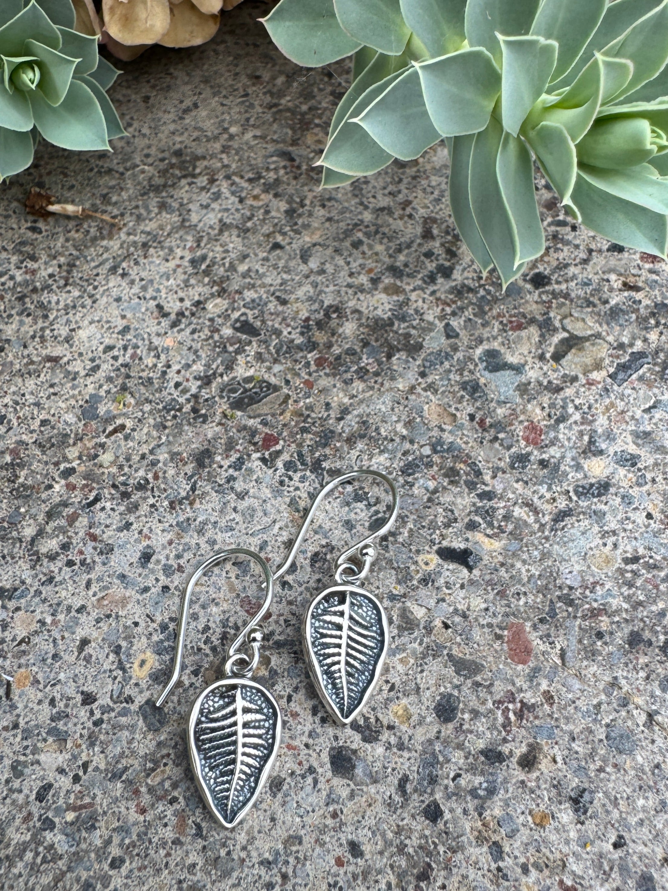 Silver leaf earrings on a textured stone surface with succulents.