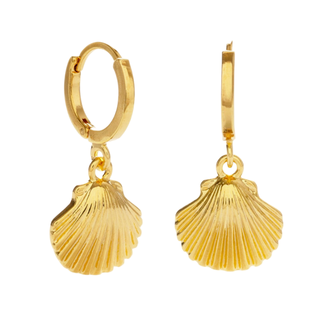 Shell Huggie Hoop Earrings
